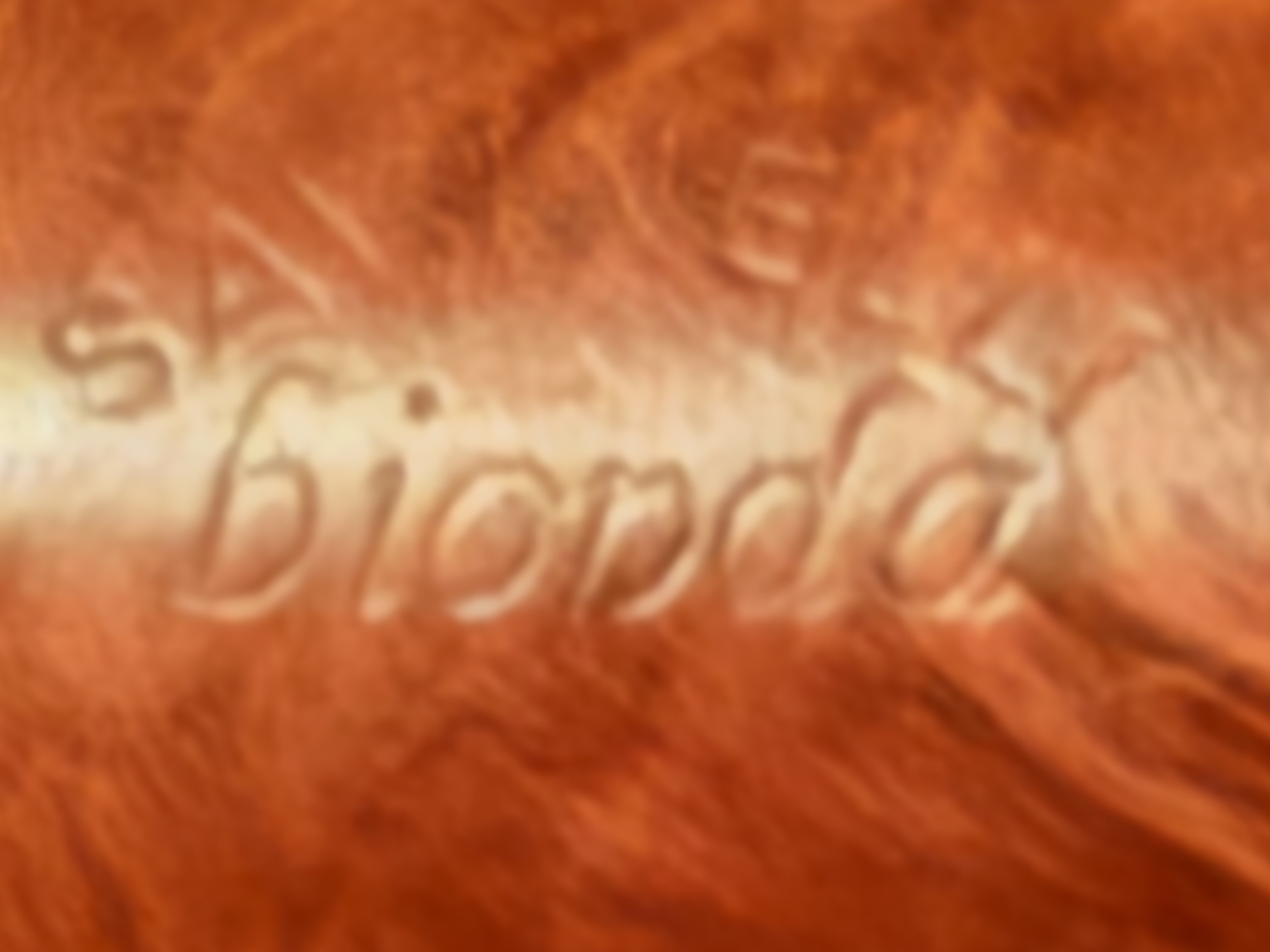 Savinelli Bionda 101 Smooth Straight Billiard Estate Pipe, 6mm Filter 13